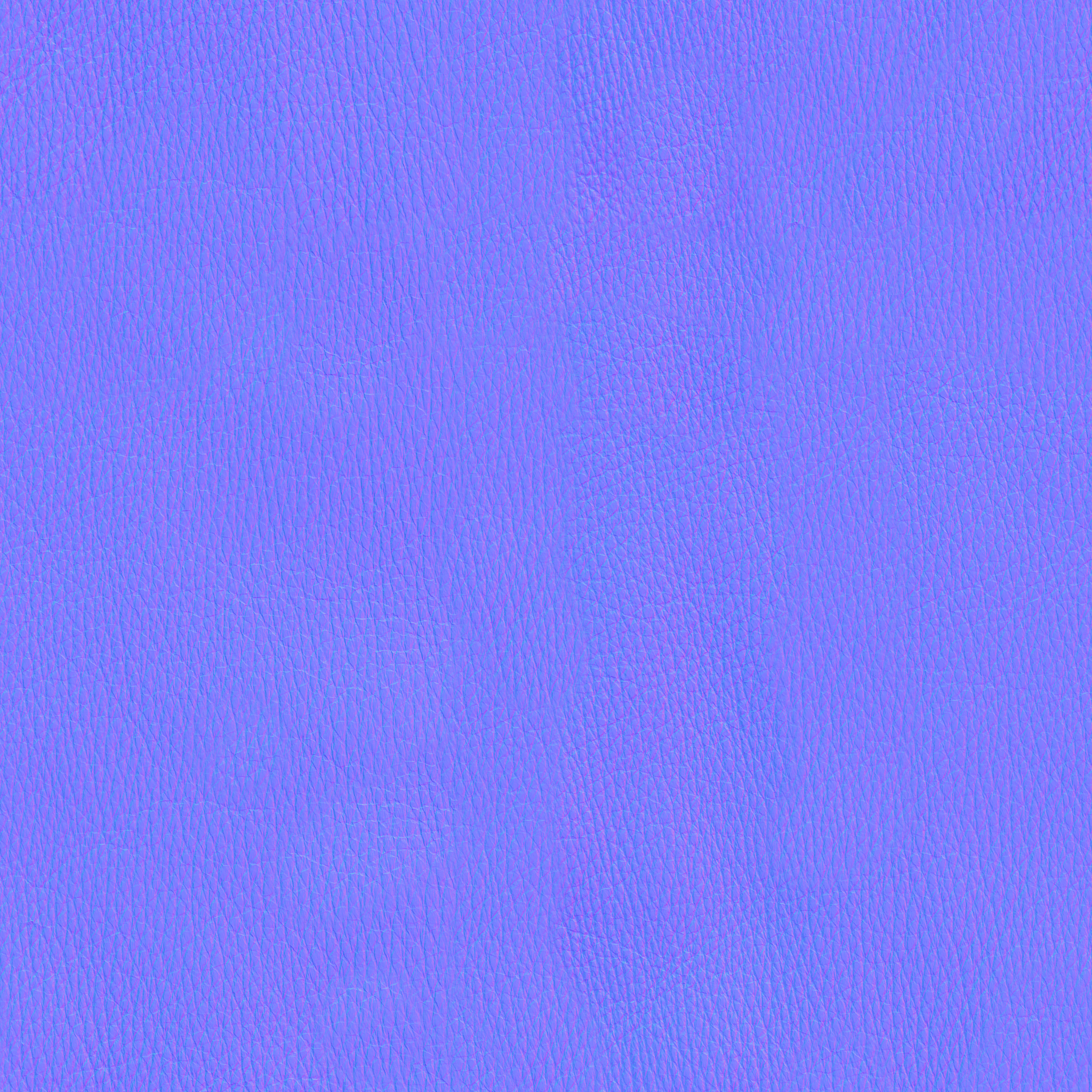 Brown Leather · normal 2k — Texture