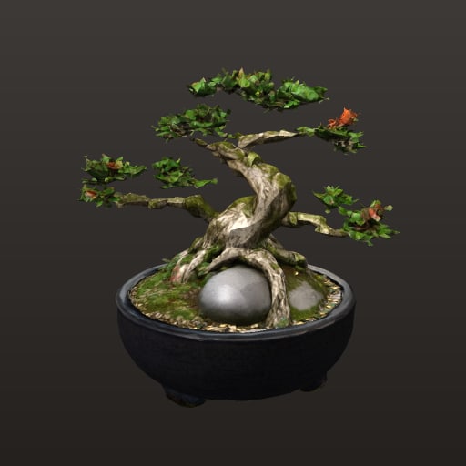 s12_bonsai_sculptural_en_pot_bleu_petrole_decor_8k_jeu — Prop