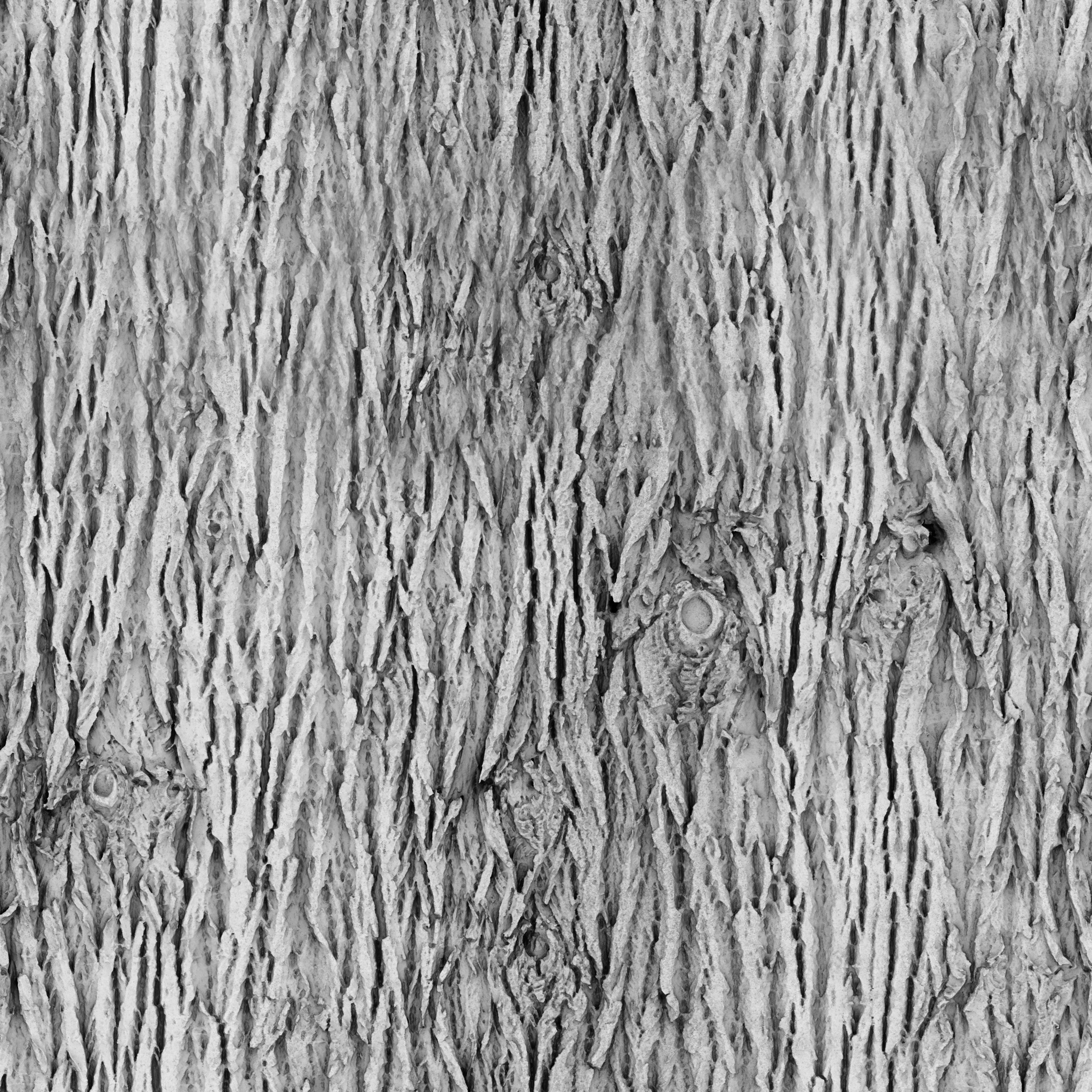 Bark Brown 02 · occlusion 2k — Texture