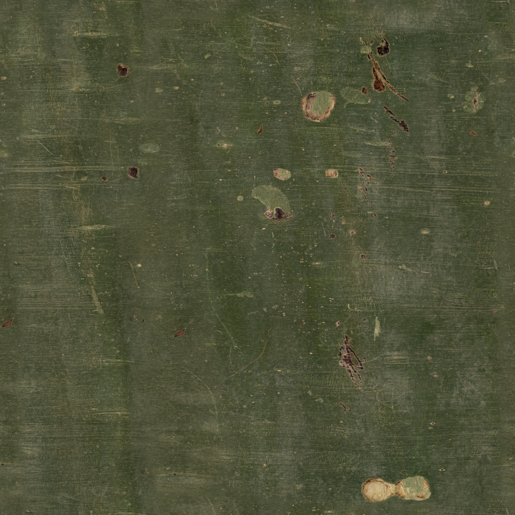 Fever Tree Bark · albedo 2k — Texture
