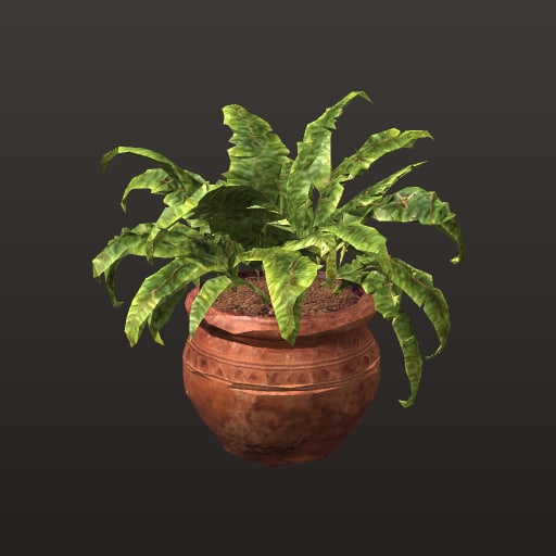 fougere_pot_decor_5k — Prop