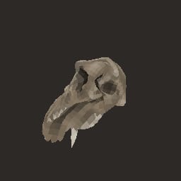 bone_03 — Prop