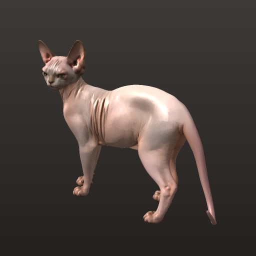 chat_sphynx_v6_avec_decor_30k_jeu — Prop