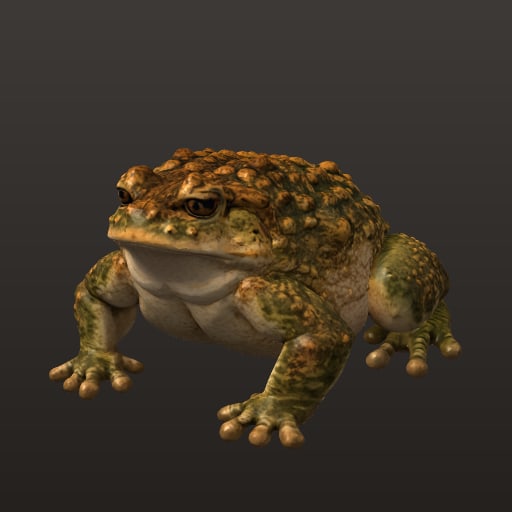 v4_anim_crapaud_fantastique_olive_en_studio_decor_40k_jeu — Prop