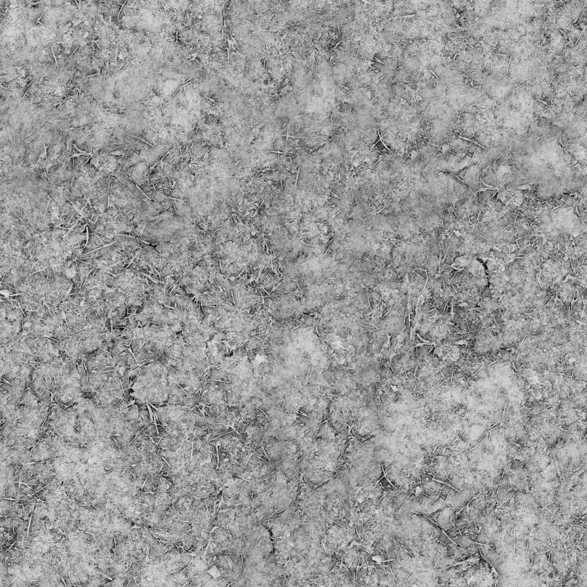 Burned Ground 01 · occlusion 2k — Texture