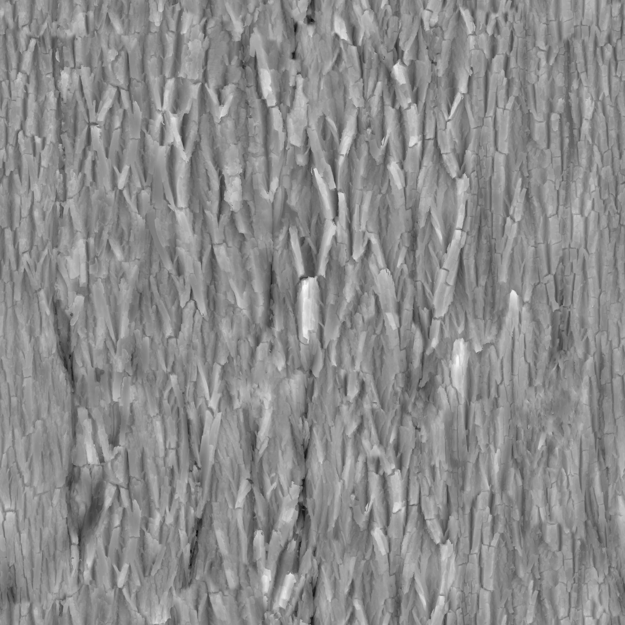 Bark Willow 02 · displacement 2k — Texture