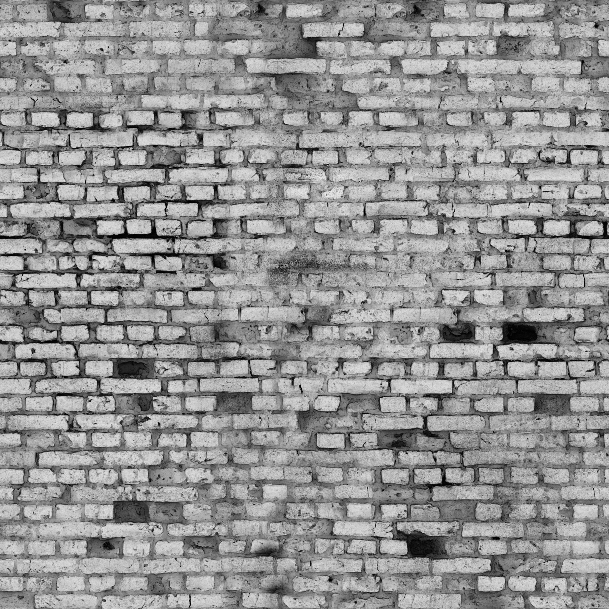 Castle Brick 07 · occlusion 2k — Texture