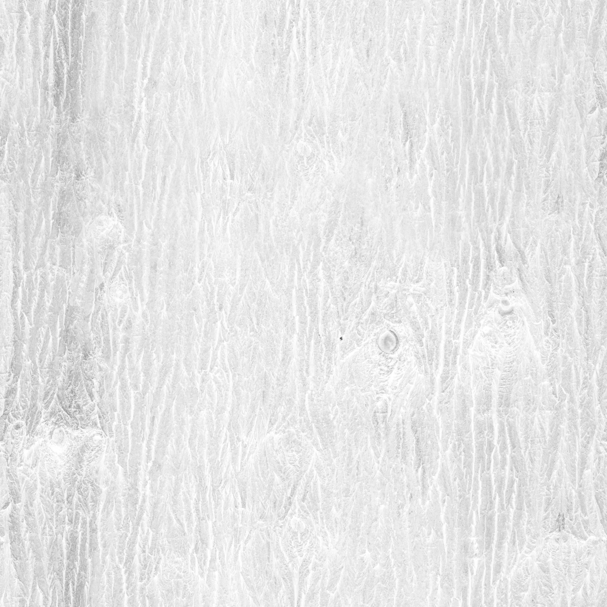Bark Brown 02 · roughness 2k — Texture
