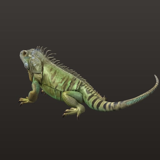 iguane_v6_sans_decor_30k_jeu — Prop