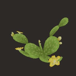 s_plant_17 — Prop
