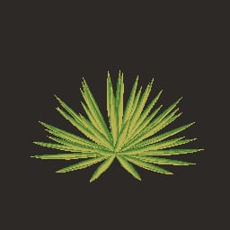 s_plant_08 — Prop
