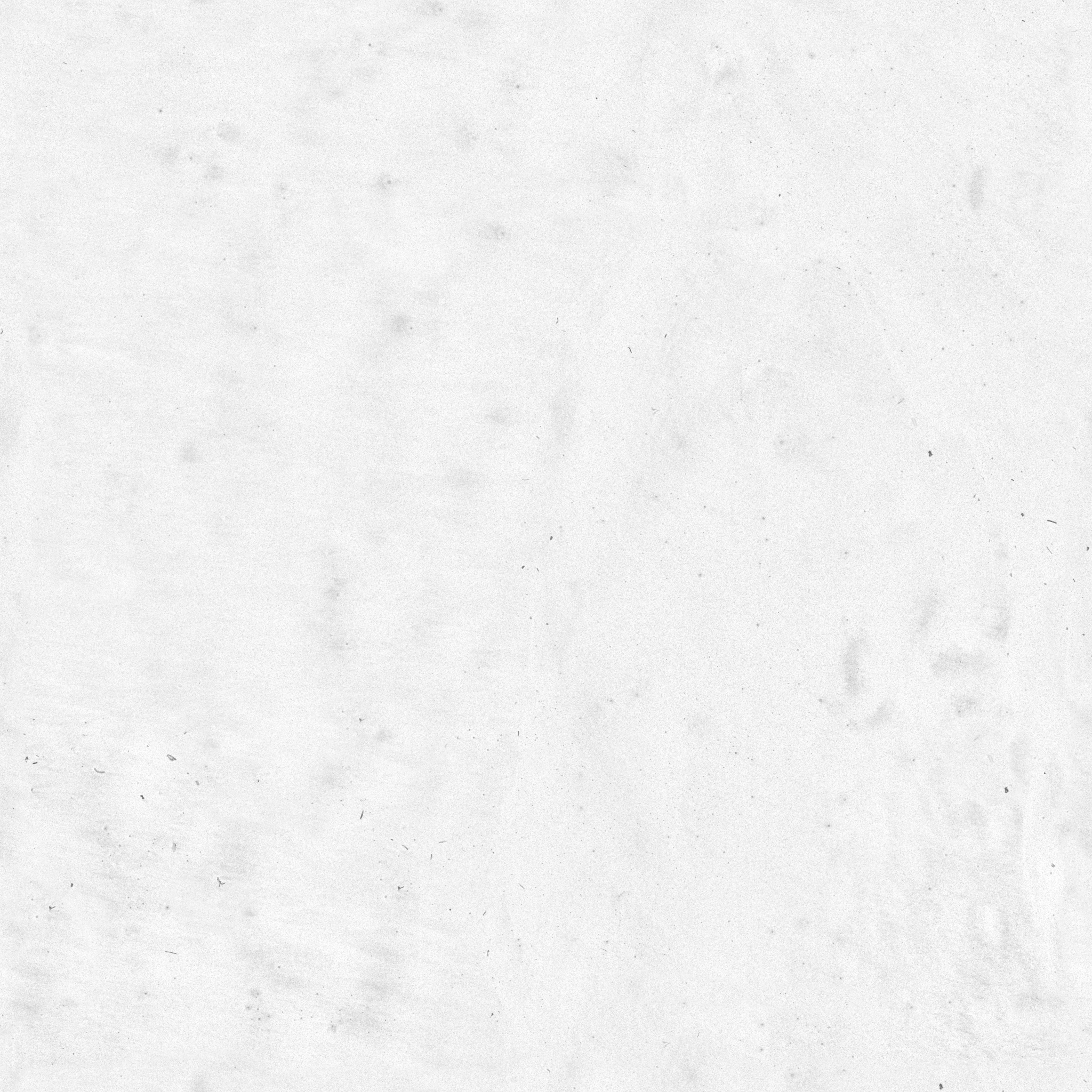 Damp Beach Sand · roughness 2k — Texture