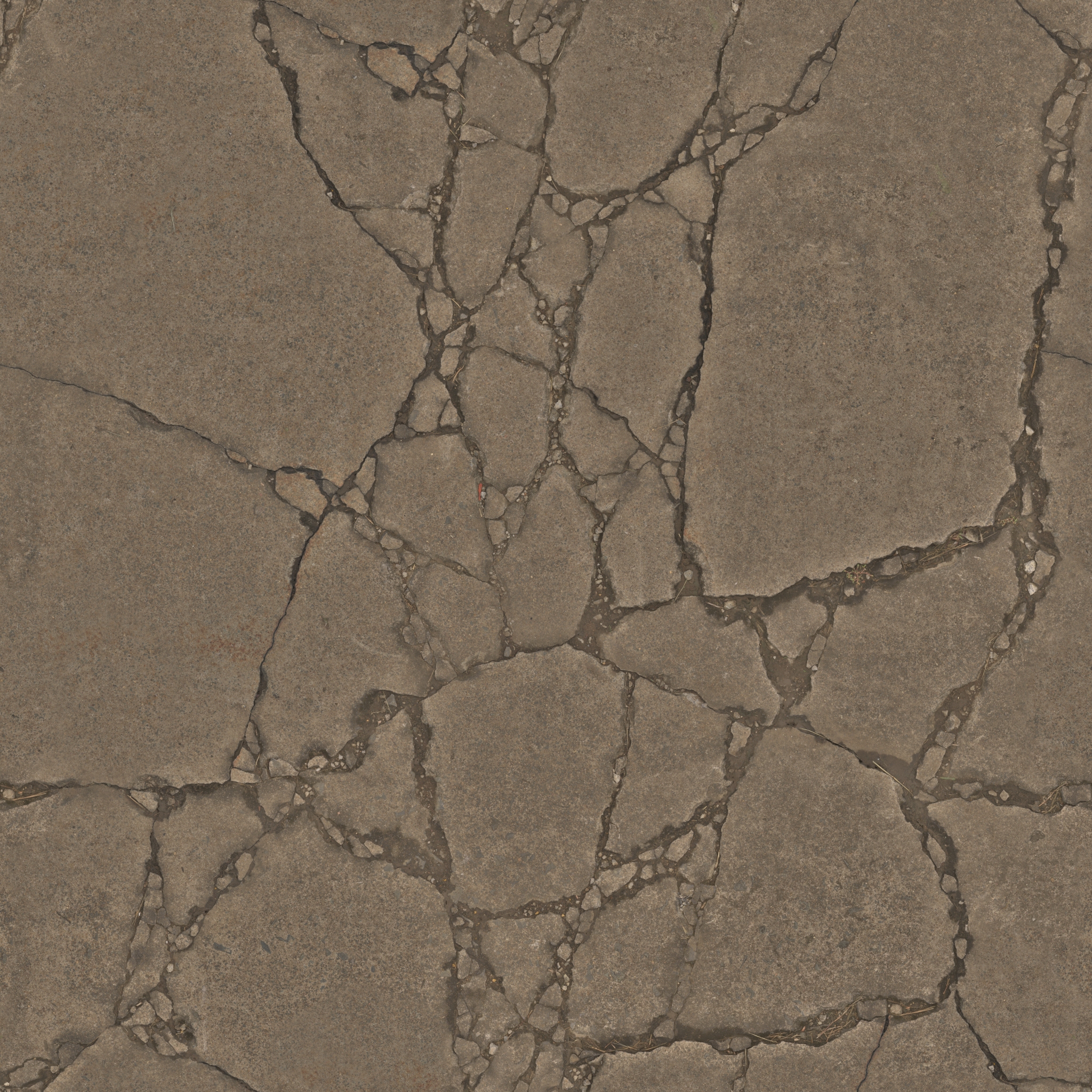 Cracked Concrete · albedo 2k — Texture
