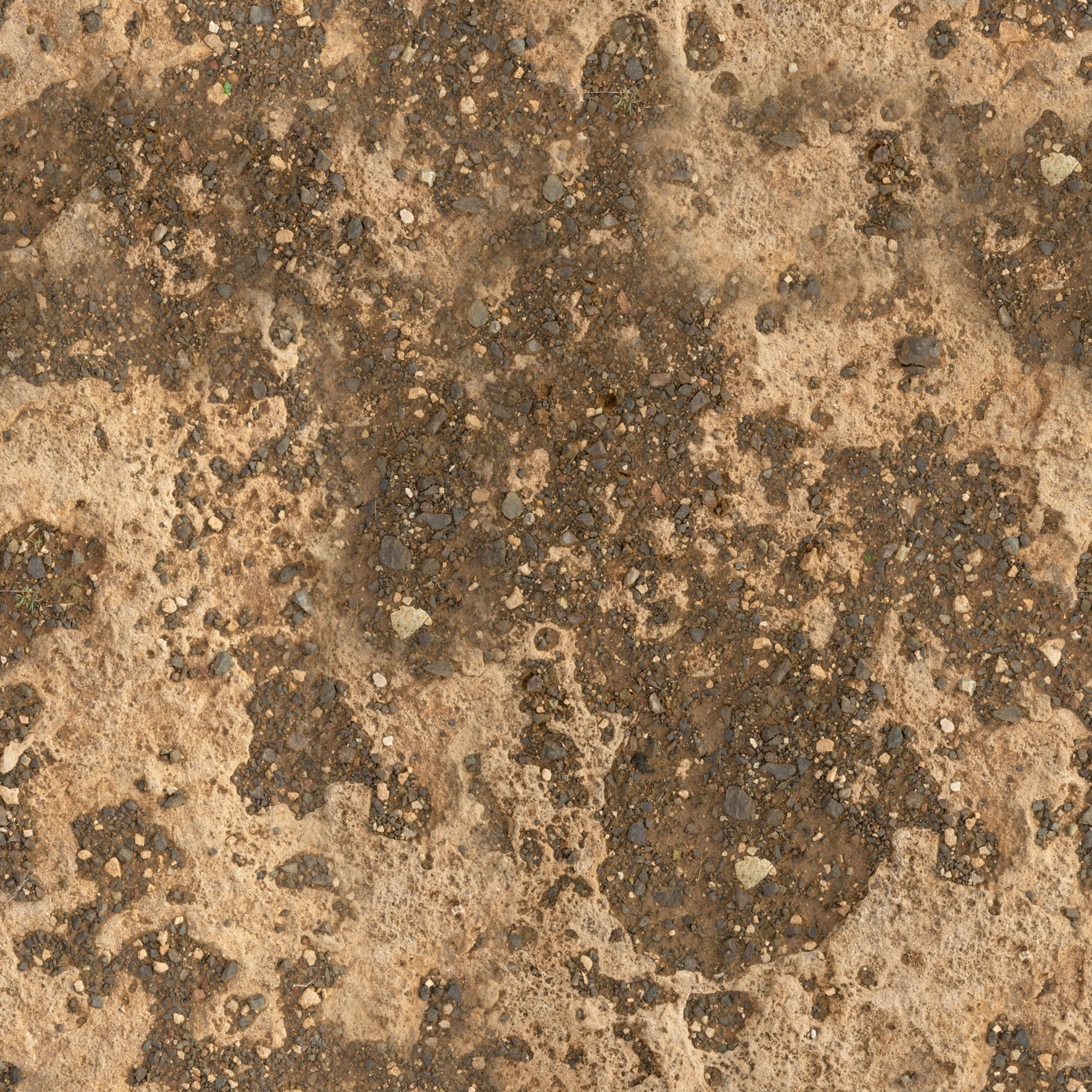 Coral Ground 02 · albedo 2k — Texture