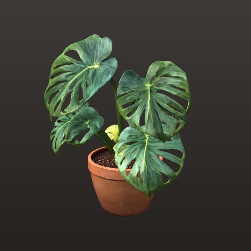 monstera_12k_final — Prop