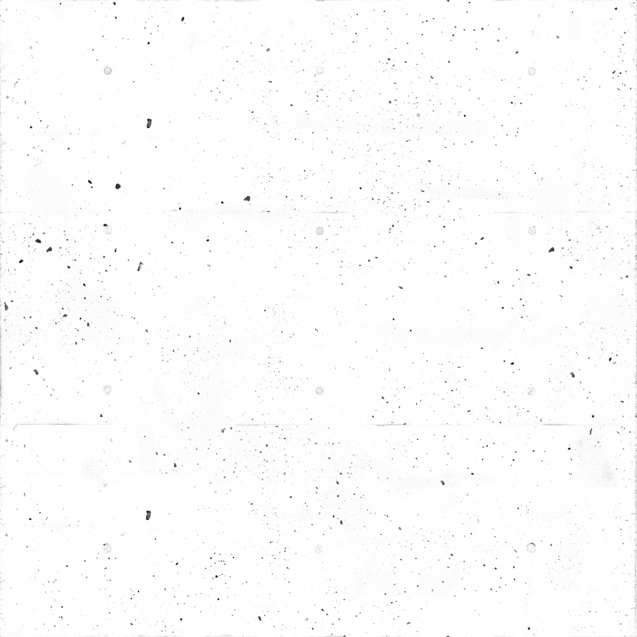Concrete Wall 009 · occlusion 2k — Texture