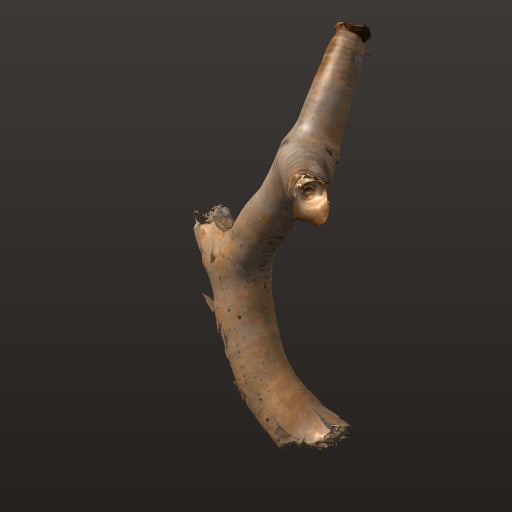 Dead Quiver Branch 01 · model 2k — Prop