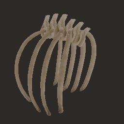 bone_01 — Prop