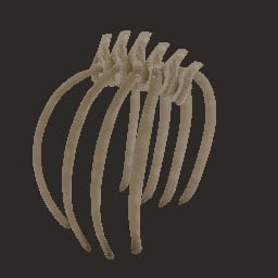 bone_01 — Prop