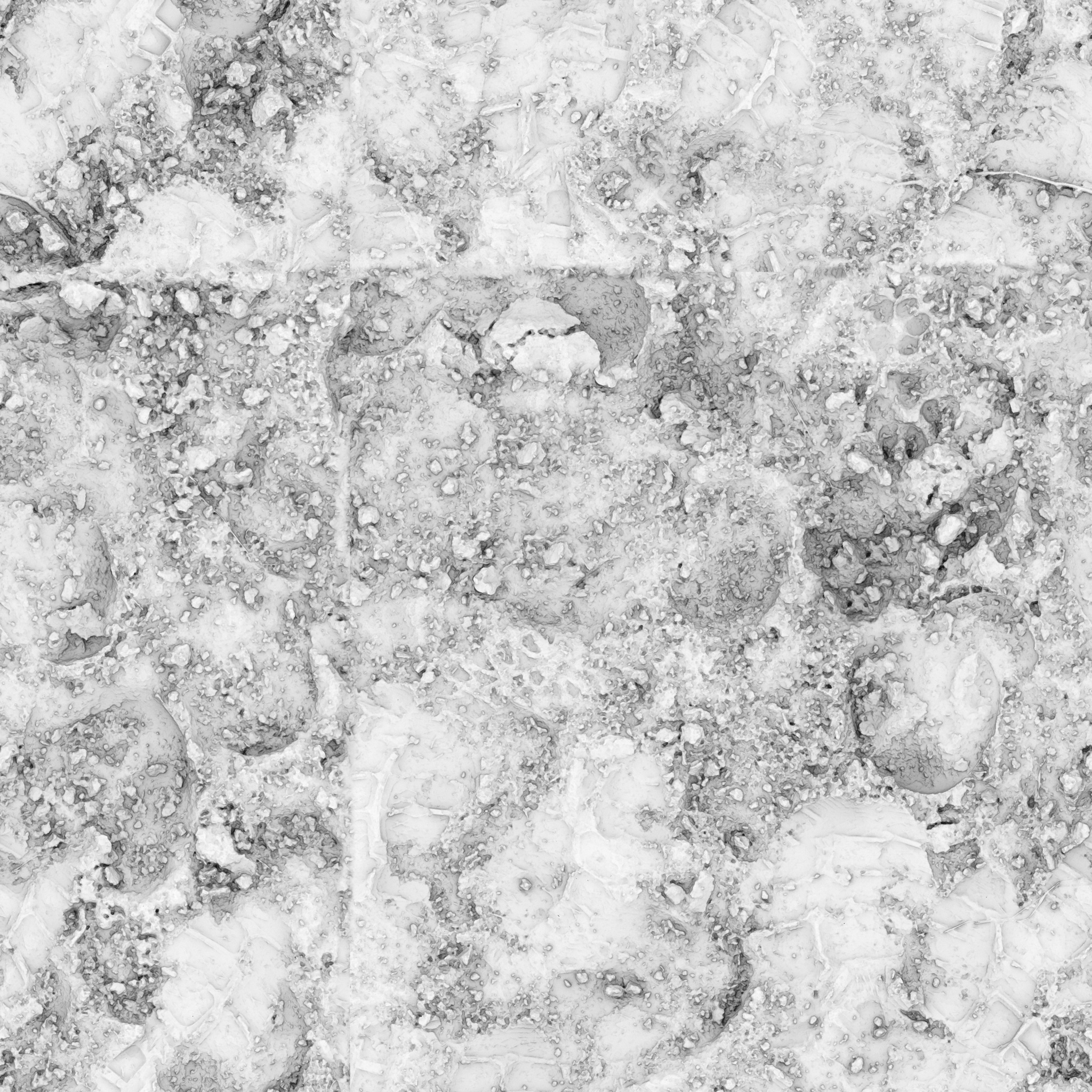 Brown Mud 02 · occlusion 2k — Texture