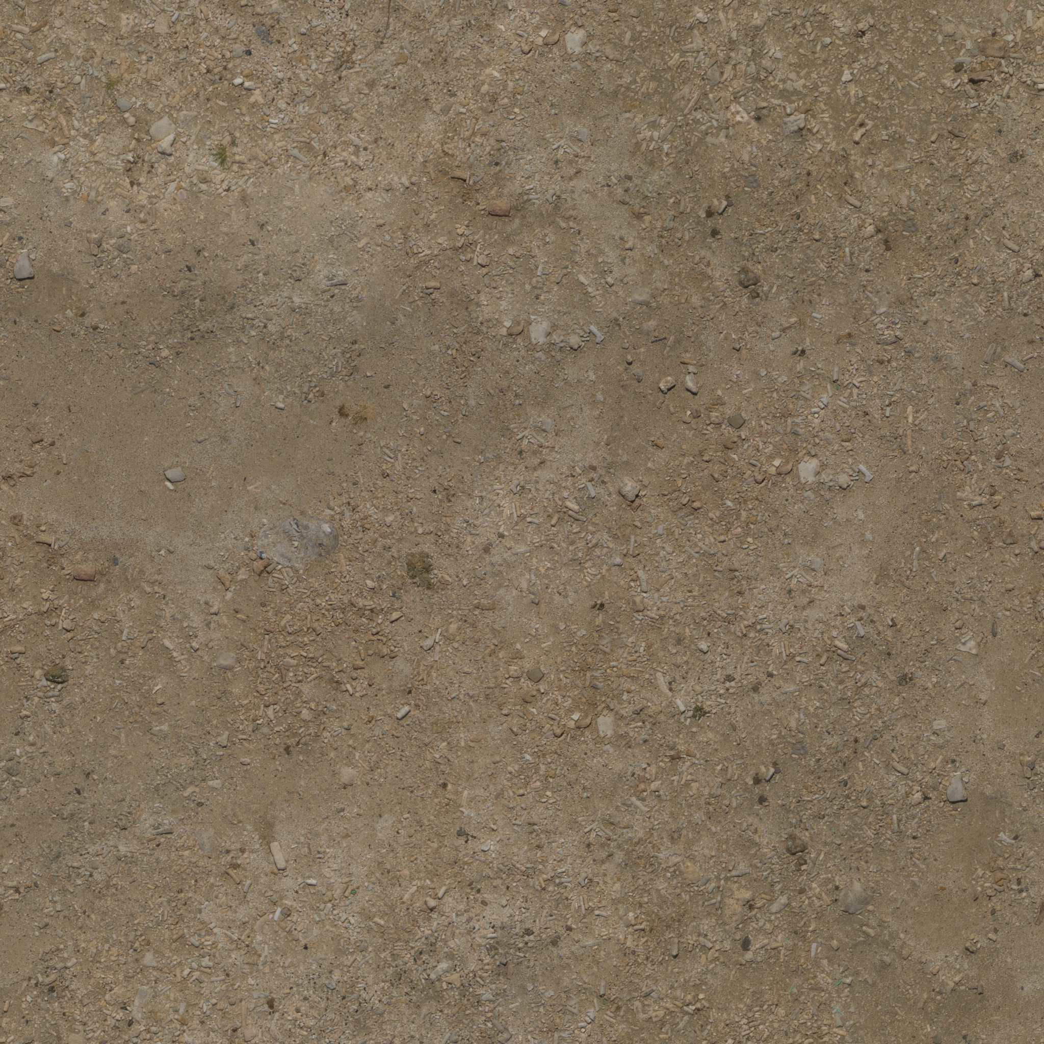 Coast Sand 02 · albedo 2k — Texture