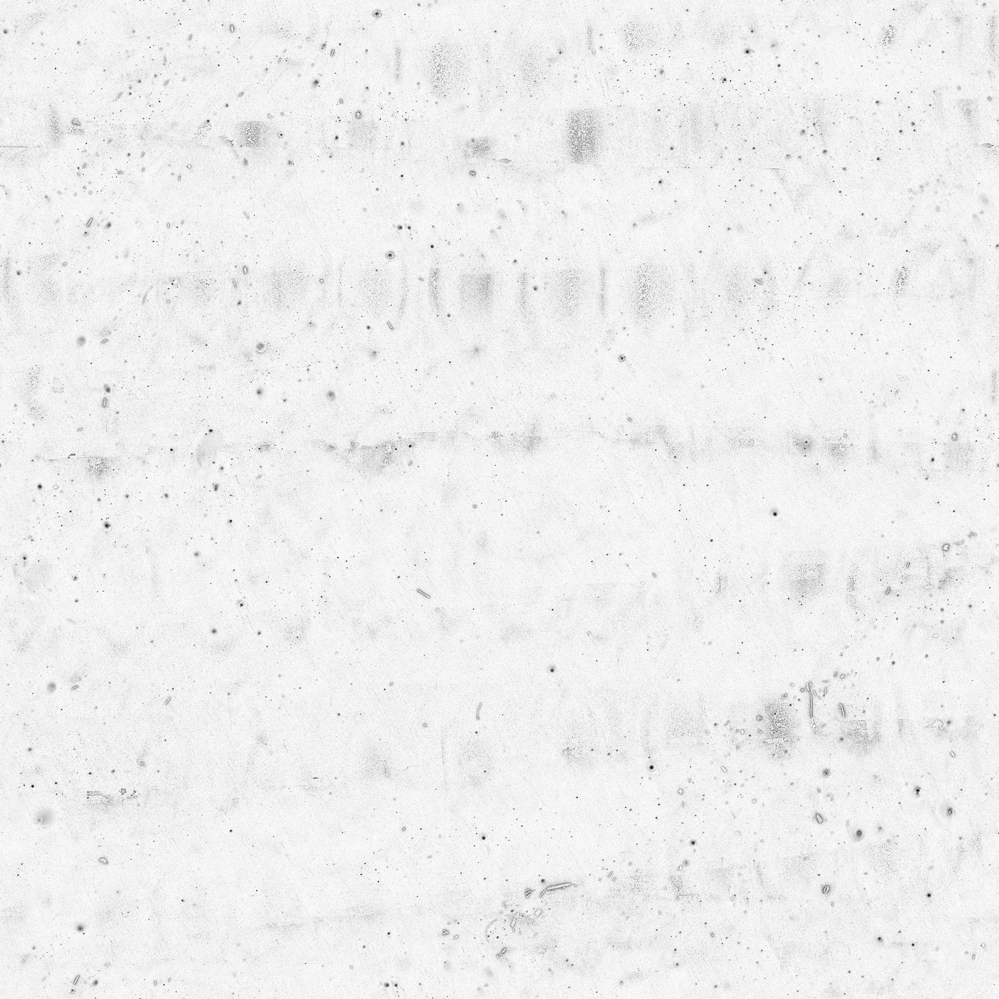 Damp Beach Sand 02 · occlusion 2k — Texture