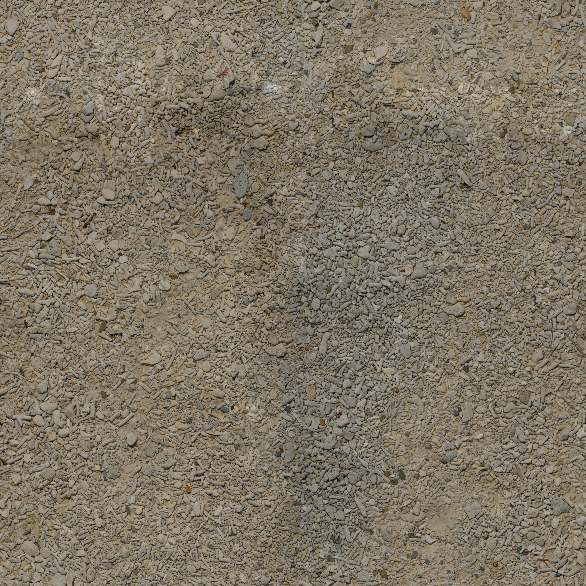 Coast Sand 03 · albedo 2k — Texture