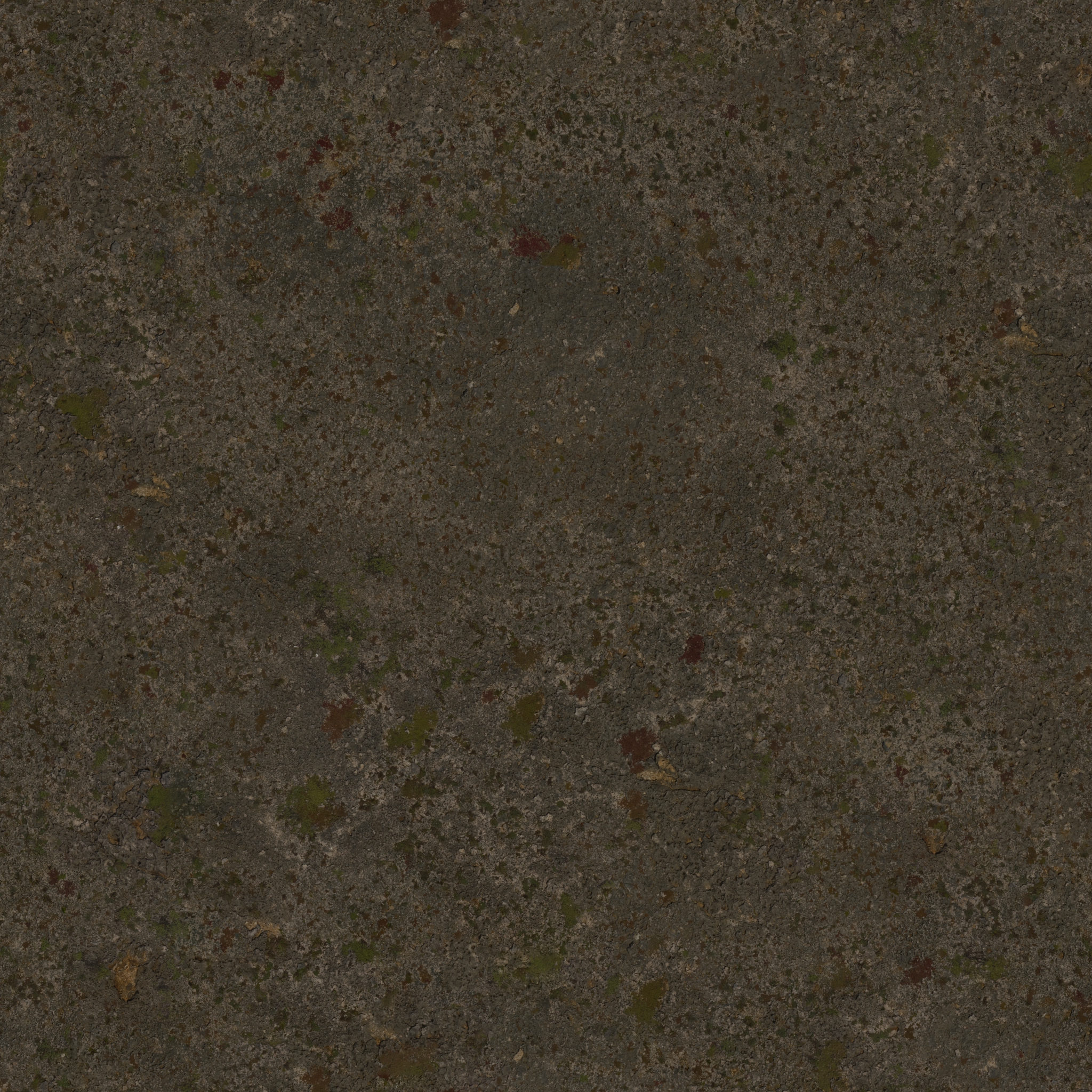 Coast Sand 05 · albedo 2k — Texture