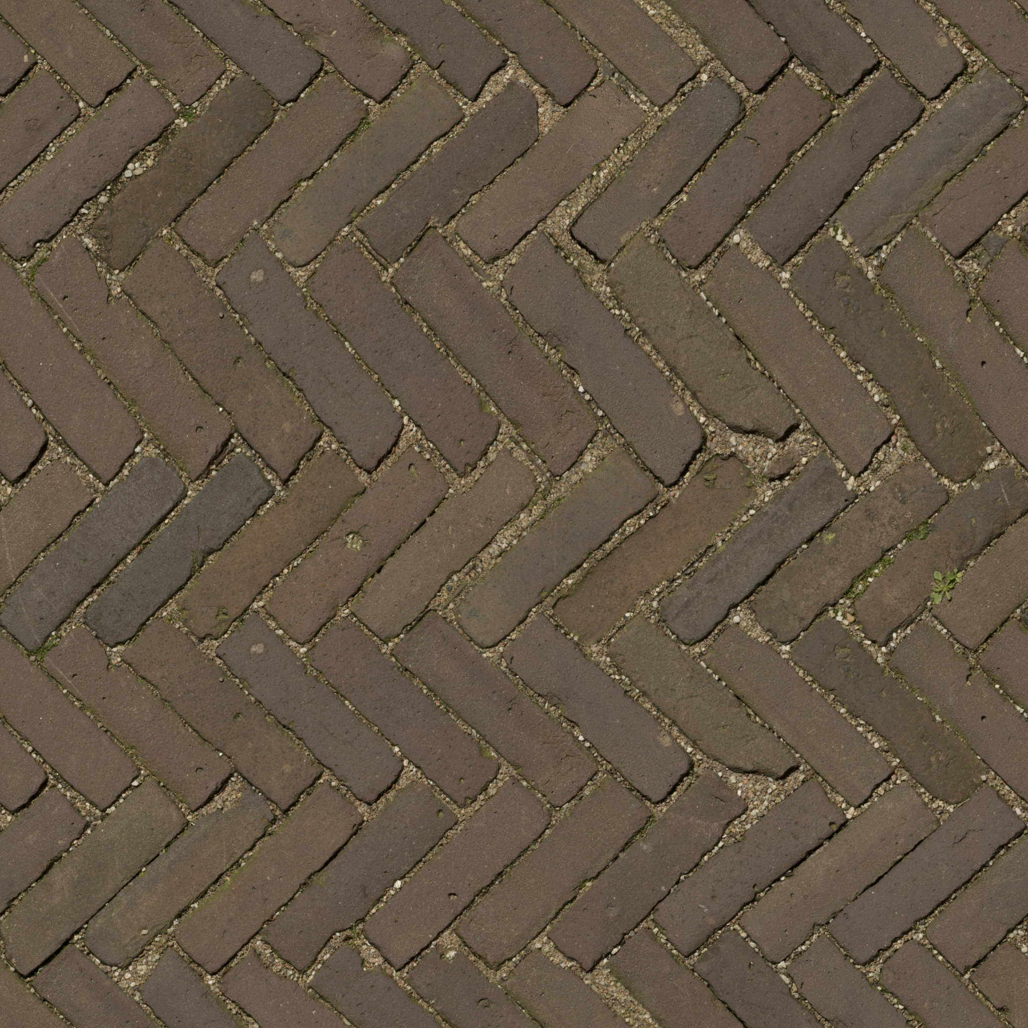 Brick Floor · albedo 2k — Texture