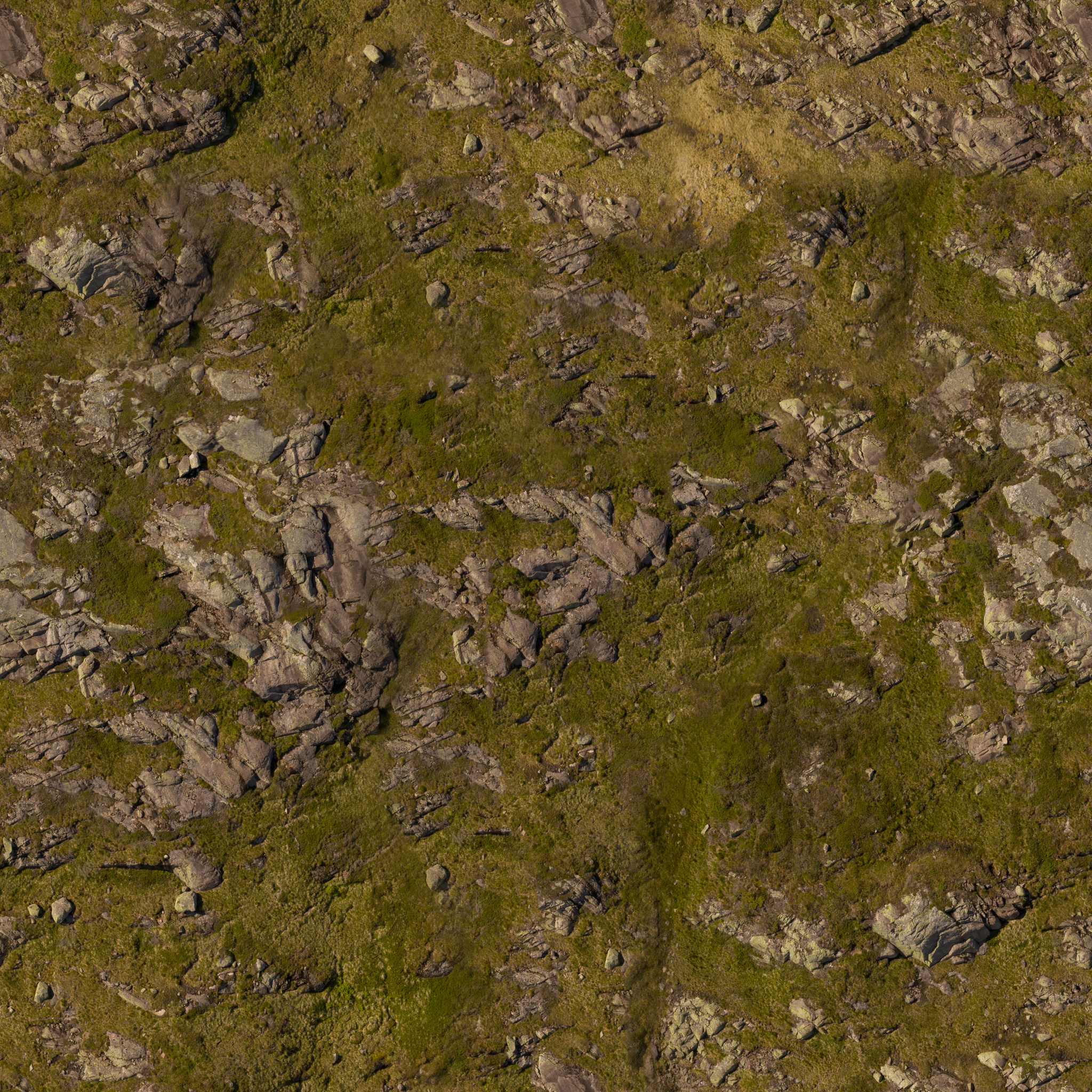 Aerial Rocks 04 · albedo 2k — Texture