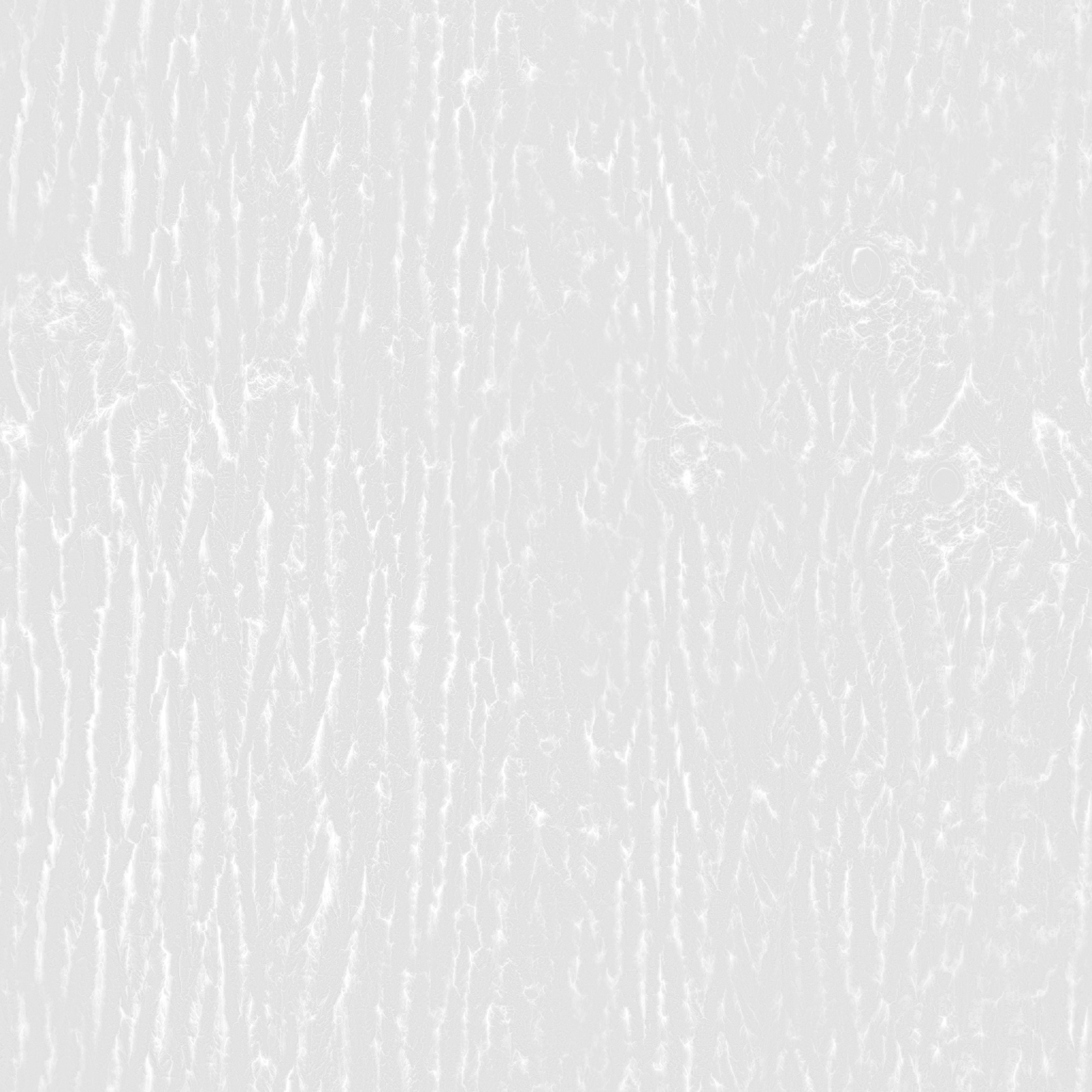 Bark Brown 01 · roughness 2k — Texture