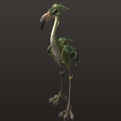 Échassier des roseaux — Creature
