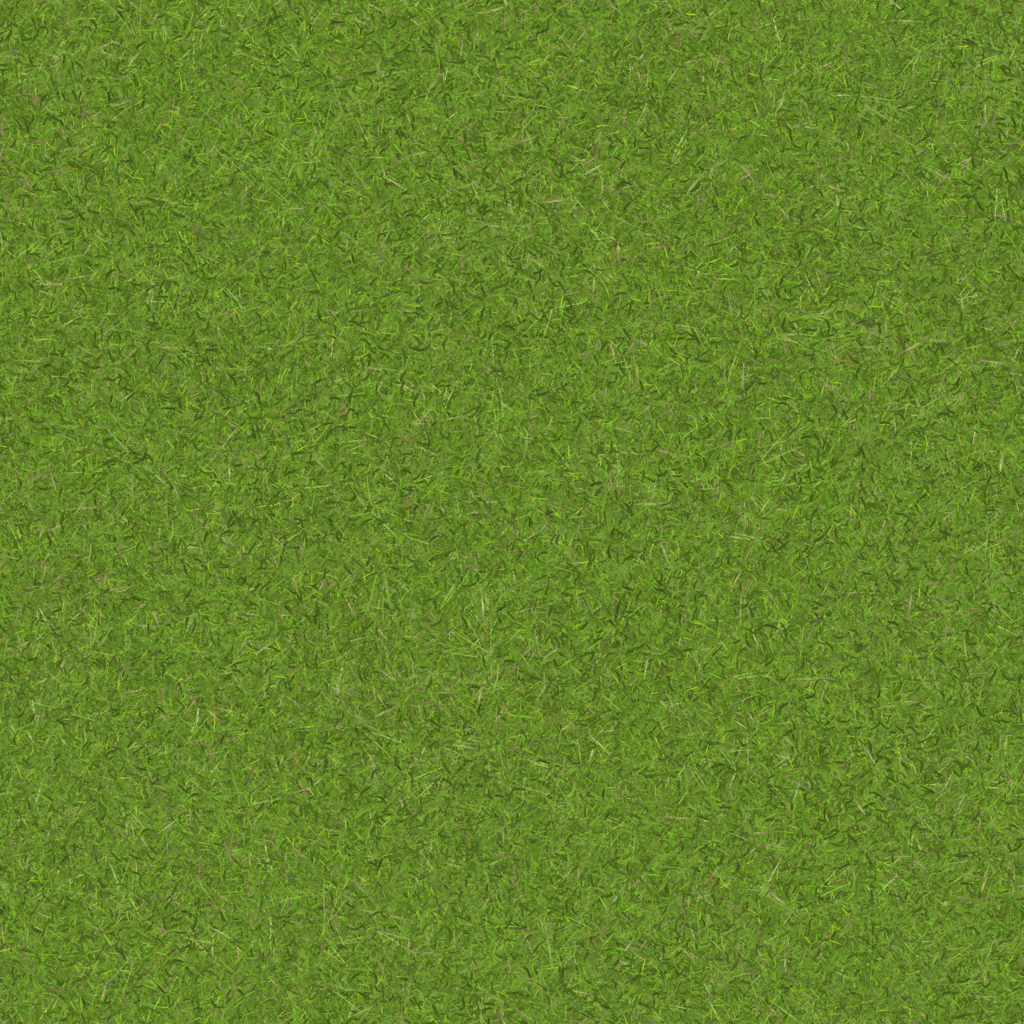 Grass005 (Grass, CC0 ambientCG) — Texture