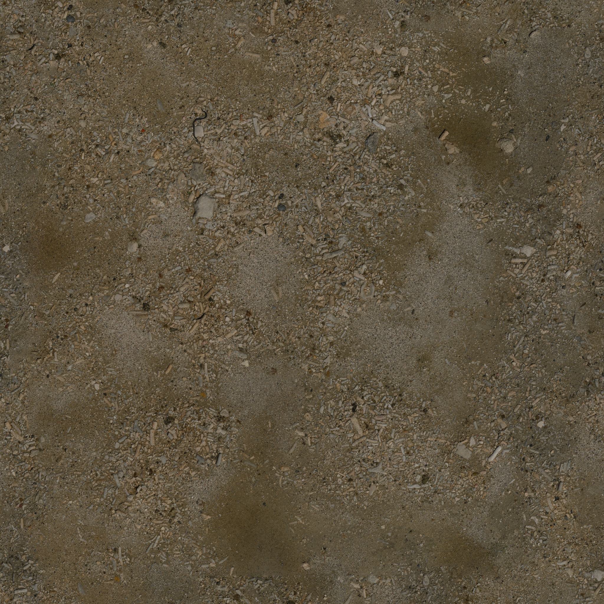 Coast Sand 04 · albedo 2k — Texture